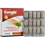 کورجین Koregin